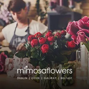 Mimosa Flowers